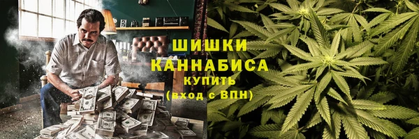 ПСИЛОЦИБИНОВЫЕ ГРИБЫ Белоозёрский